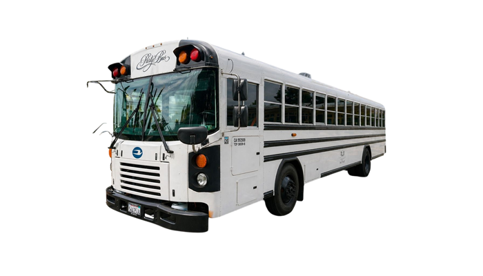 45 Passengers Party Bus